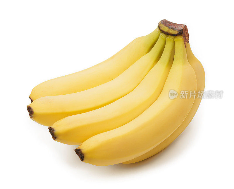 香蕉XXXL