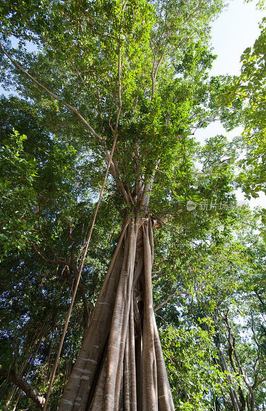 Sipadan景观