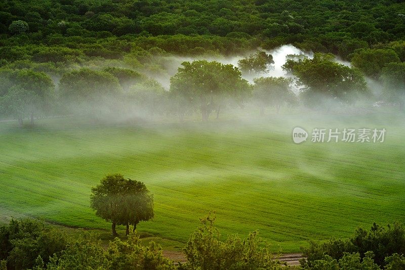 多雾的早晨