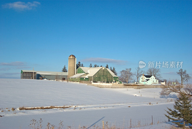 雪山上的绿色农场