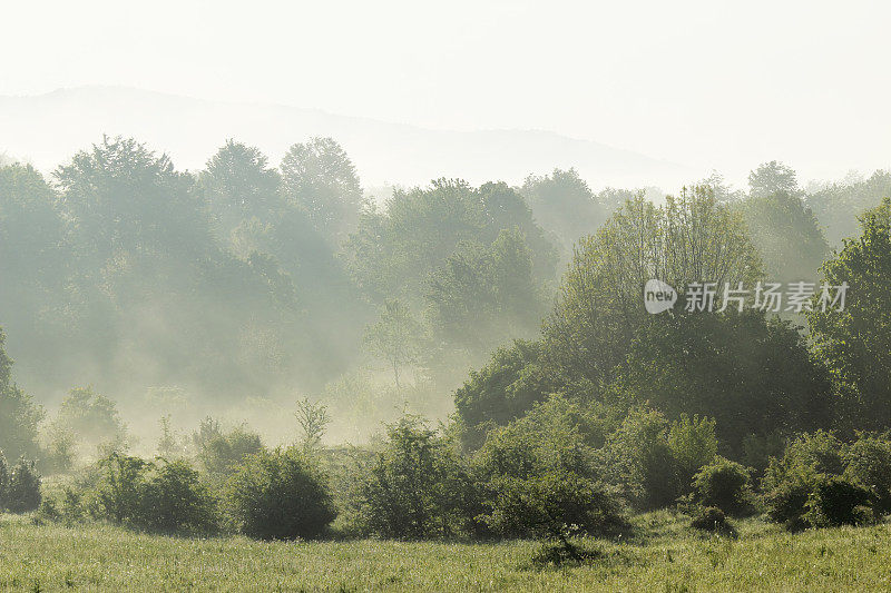 克罗地亚Plitvice的大雾森林清晨、春天的黎明和日出