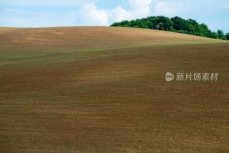 斯洛伐克可耕地