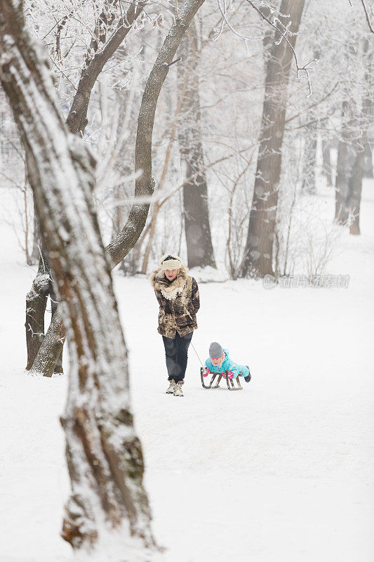 奶奶在拉雪橇