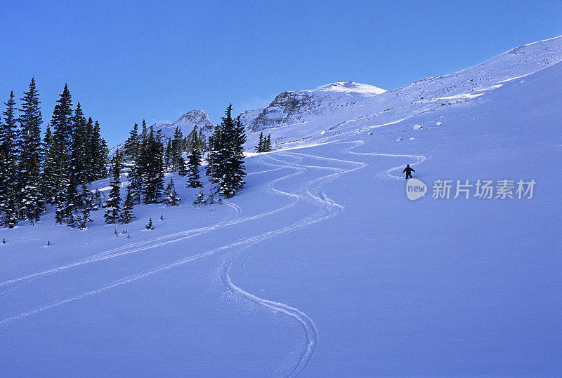 滑雪者在科罗拉多麋鹿山雕刻转弯