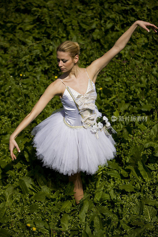 芭蕾舞女演员