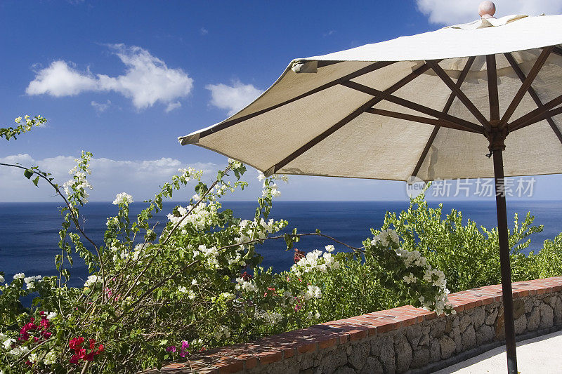 圣卢西亚的遮阳伞、海和花