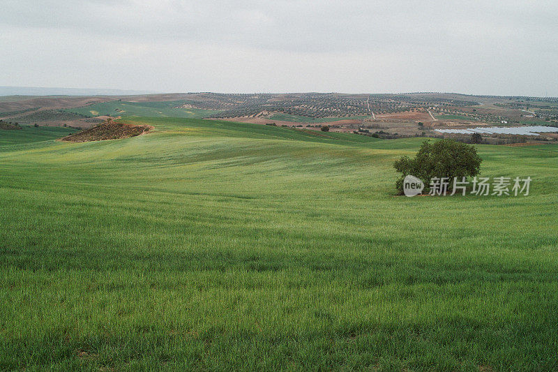 西班牙的风景