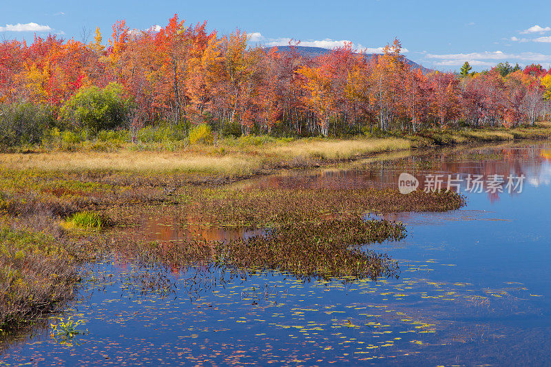 阿迪朗达克秋天Rivert