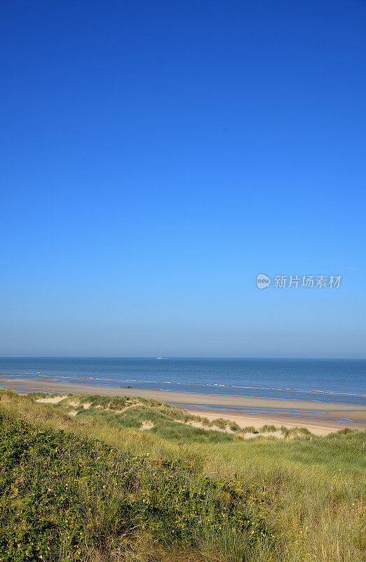 从沙丘和马拉姆草的海景