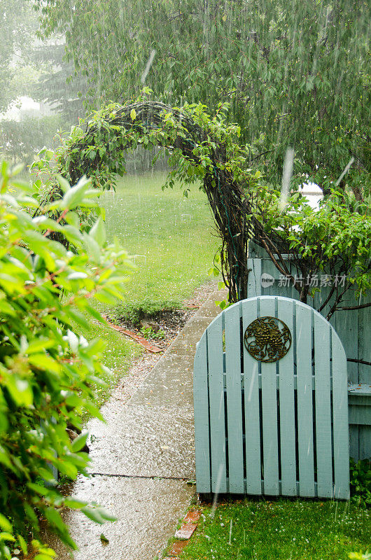 蓝色的开放的拱形花园大门在夏天的雨