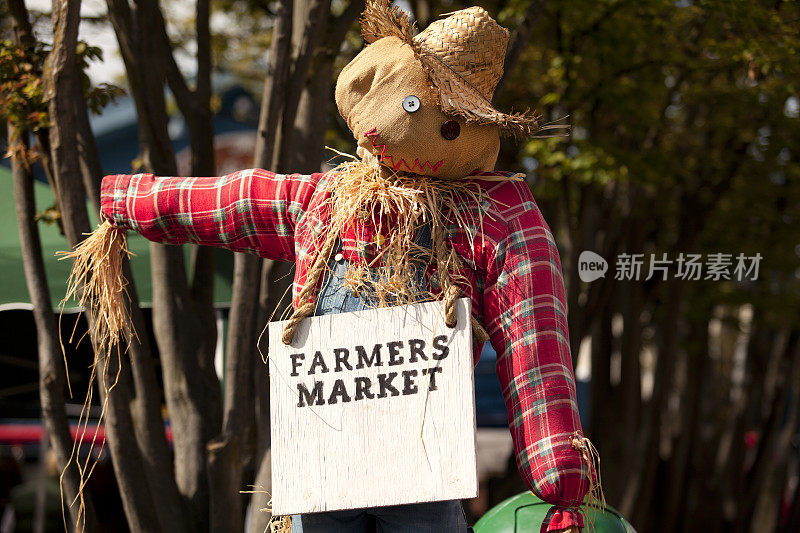 农夫市场上的稻草人