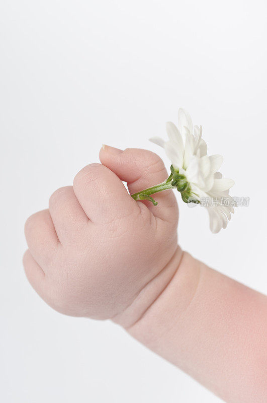 婴儿的手伸向一朵花