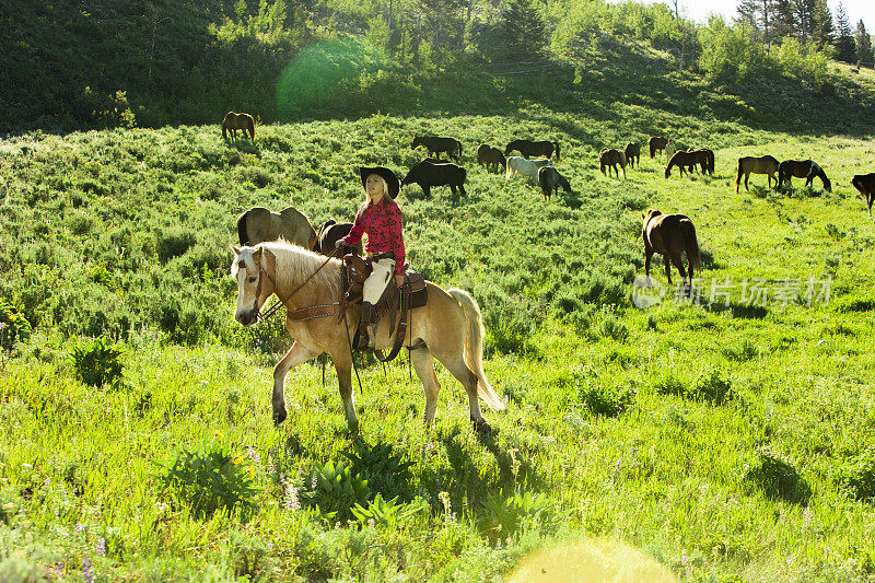 牛仔:在牧场骑马的女人。放牧羊群。