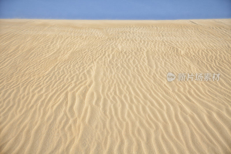 沙漠沙丘的背景