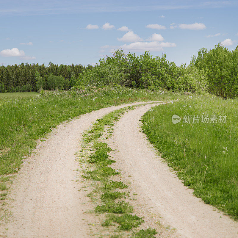 斯堪的纳维亚的夏季自然景观乡村道路