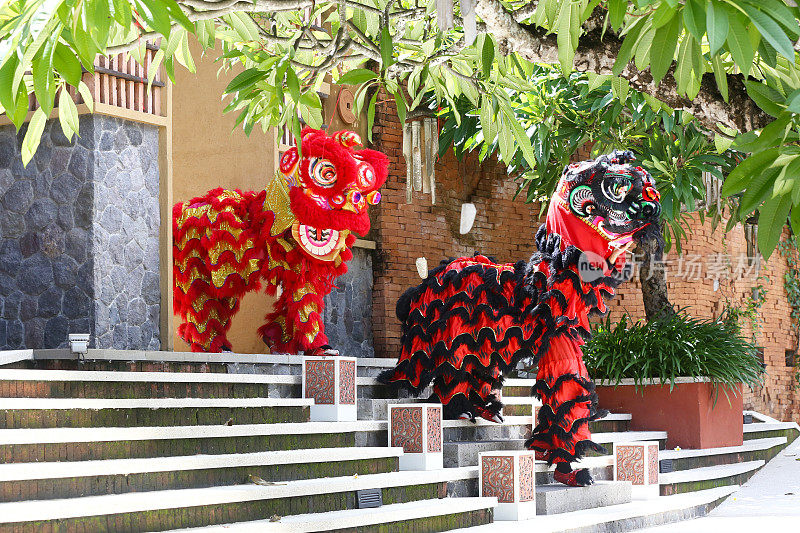 中国传统舞狮