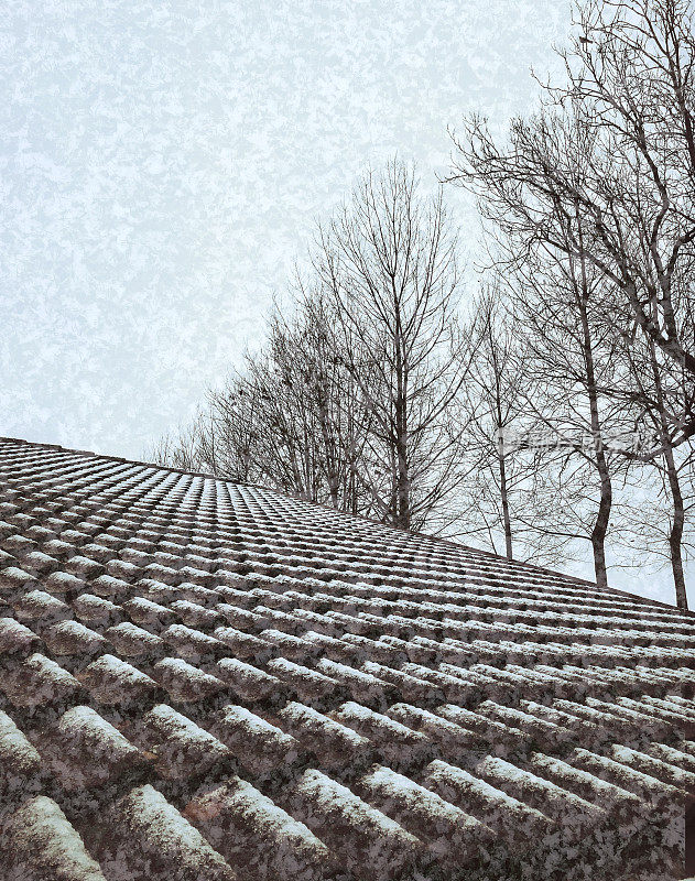 平房屋顶瓦片上的第一场雪