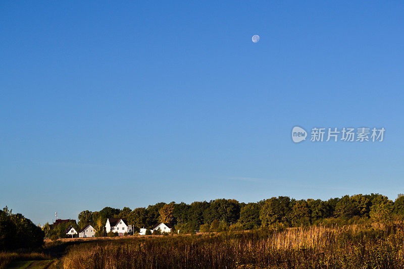 清晨。森林附近的村庄。天上的月亮。