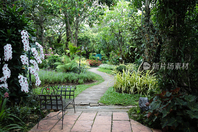 花园装饰成热带丛林风格，让人放松。