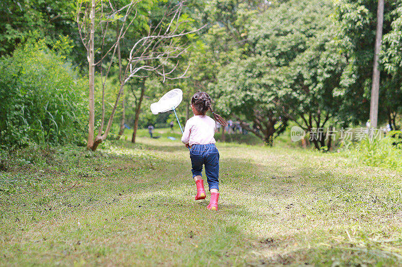 亚洲小女孩在夏天的田野里玩捕虫网，后视图。