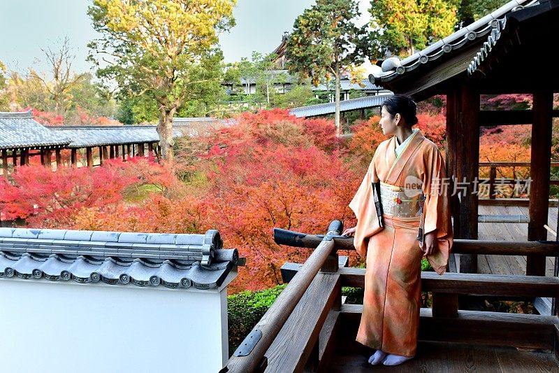 京都Tofuku-ji，穿着和服和秋叶的日本女人