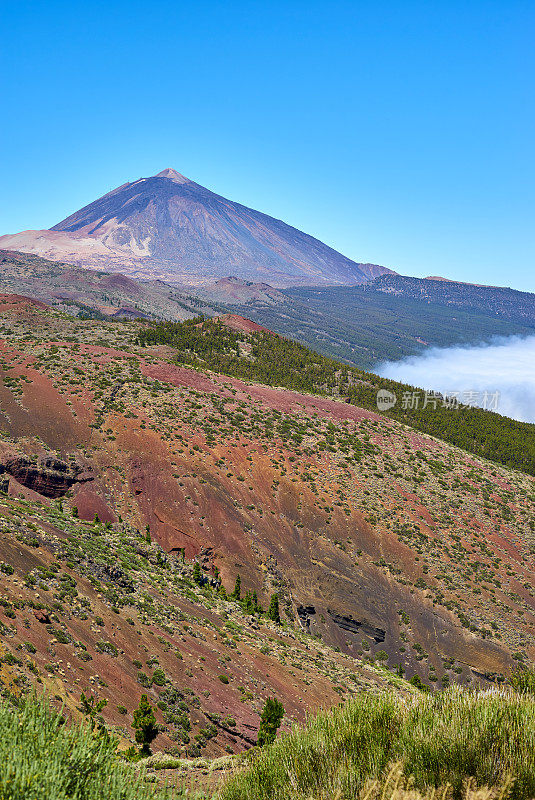 泰德山和特内里费的Orotava山谷