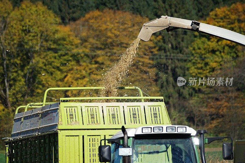 德国巴伐利亚。在慕尼黑附近的一个村庄种植玉米。