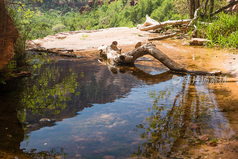 锡安国家公园反映水坑在山地景观犹他州