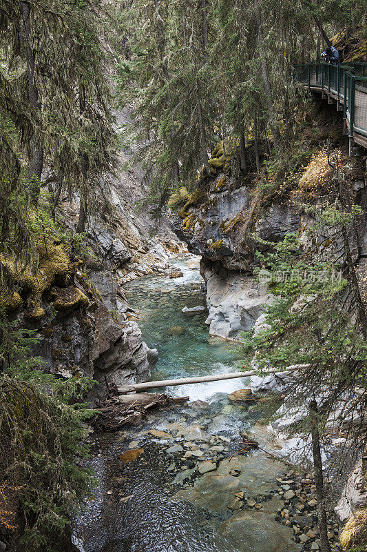 在加拿大阿尔伯塔省的落基山脉约翰斯顿峡谷的徒步旅行者