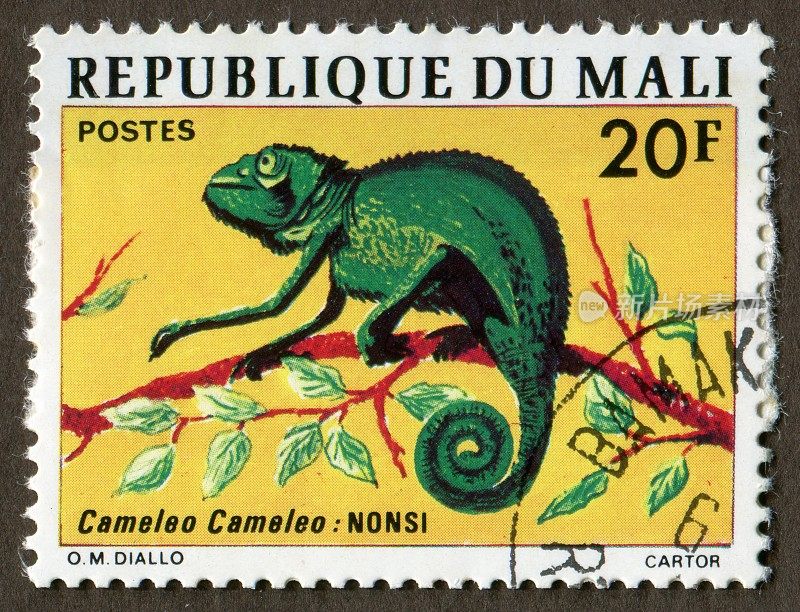 马里共和国邮票:变色龙
