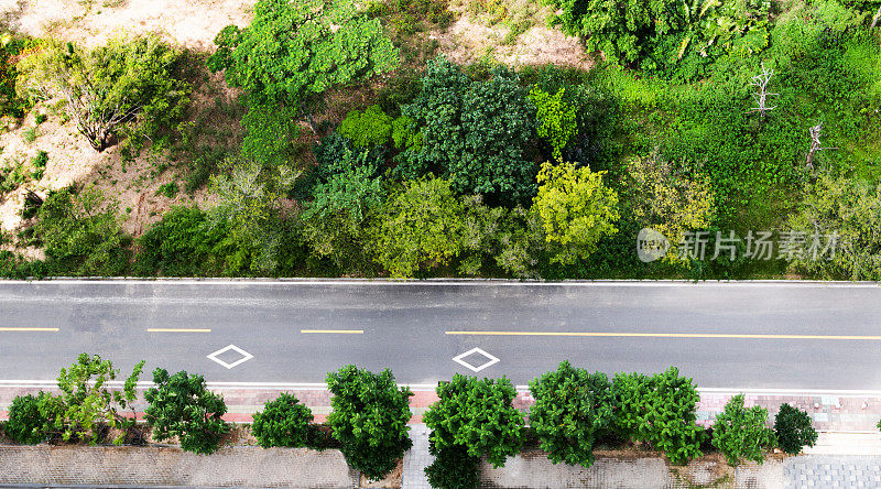 穿过森林的道路鸟瞰图