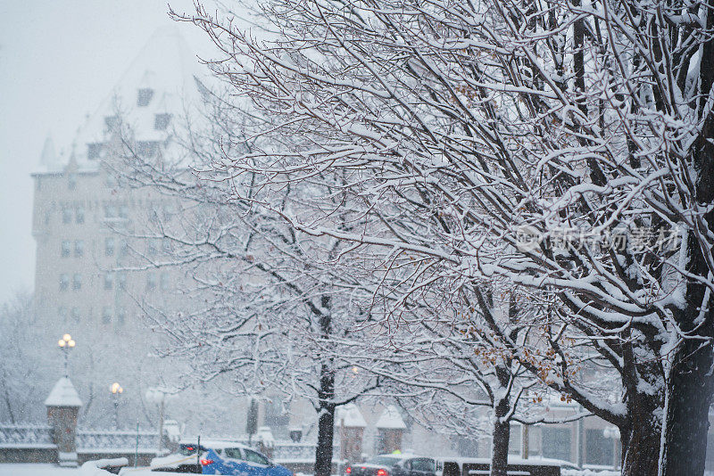 暴风雪给渥太华降下了8英寸的雪