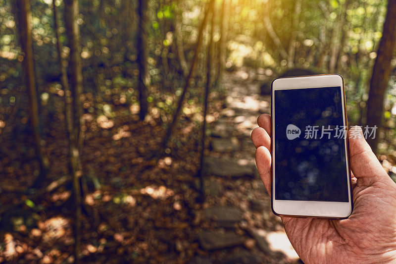 热带森林中使用智能手机的人。模型图片