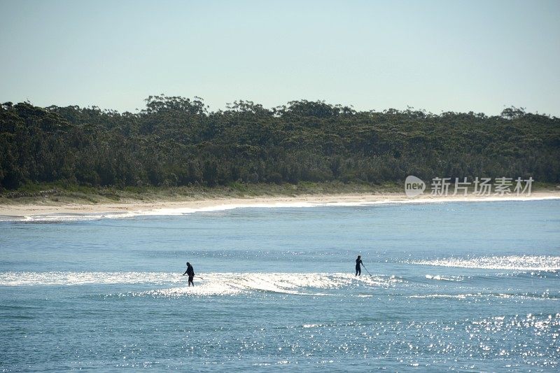 澳大利亚新南威尔士州杰维斯湾海洋公园的桨板