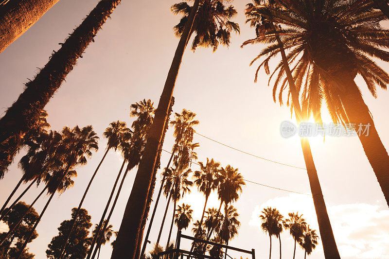 加州美丽的日落在圣塔莫尼卡-洛杉矶