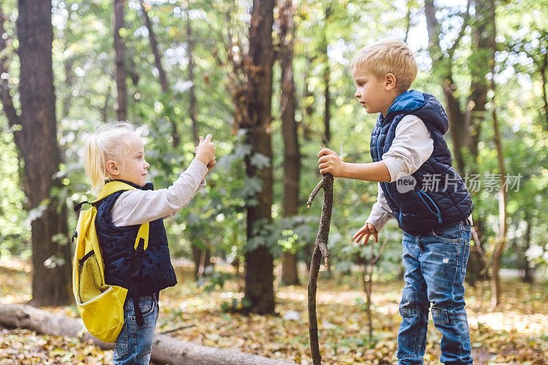 秋天的森林公园里，学龄前的孩子们用手机互相拍照。儿童爱好主题和积极的生活方式。专业的摄影师
