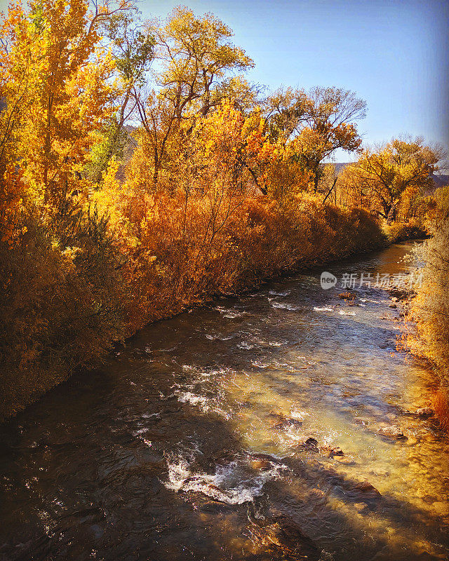 秋天，犹他州罗克维尔市维珍河上历史悠久的罗克维尔桥俯瞰下游