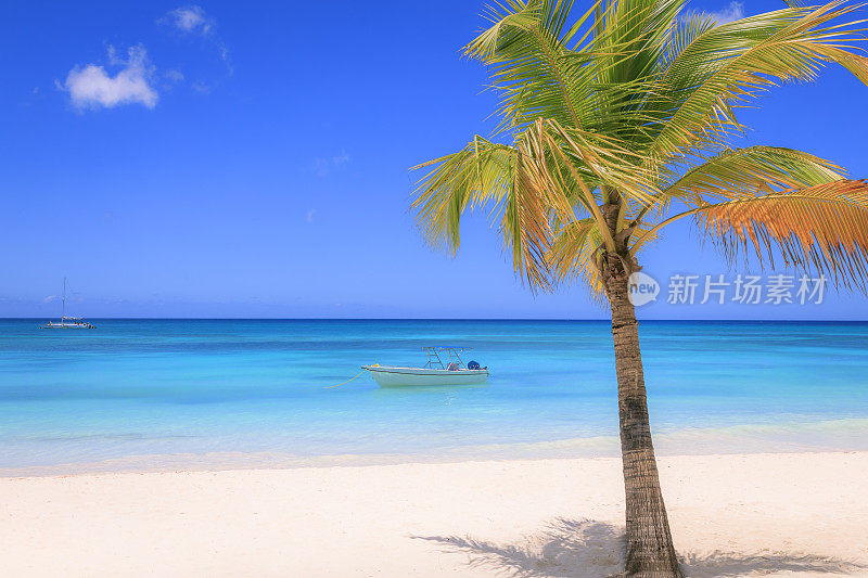 夏季天堂:热带海滩与游艇-蓬塔卡纳，加勒比