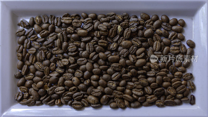 白瓷托盘上的烤哥伦比亚阿拉比卡咖啡豆;哥伦比亚以其优质的咖啡而闻名;没有人