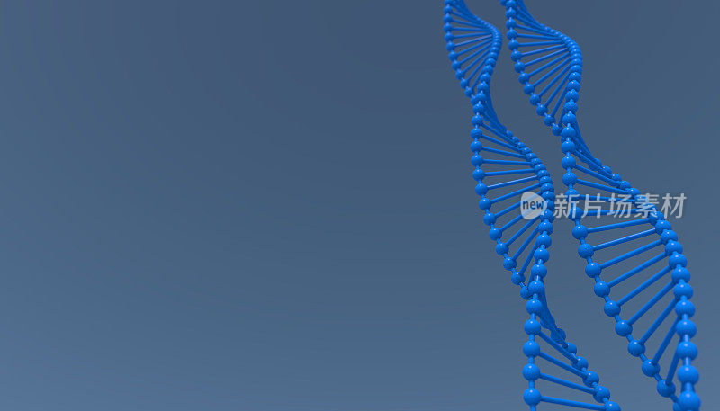 dna分子生物化学的概念