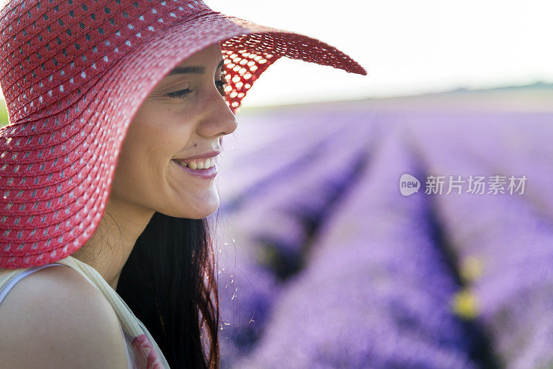 薰衣草田之美