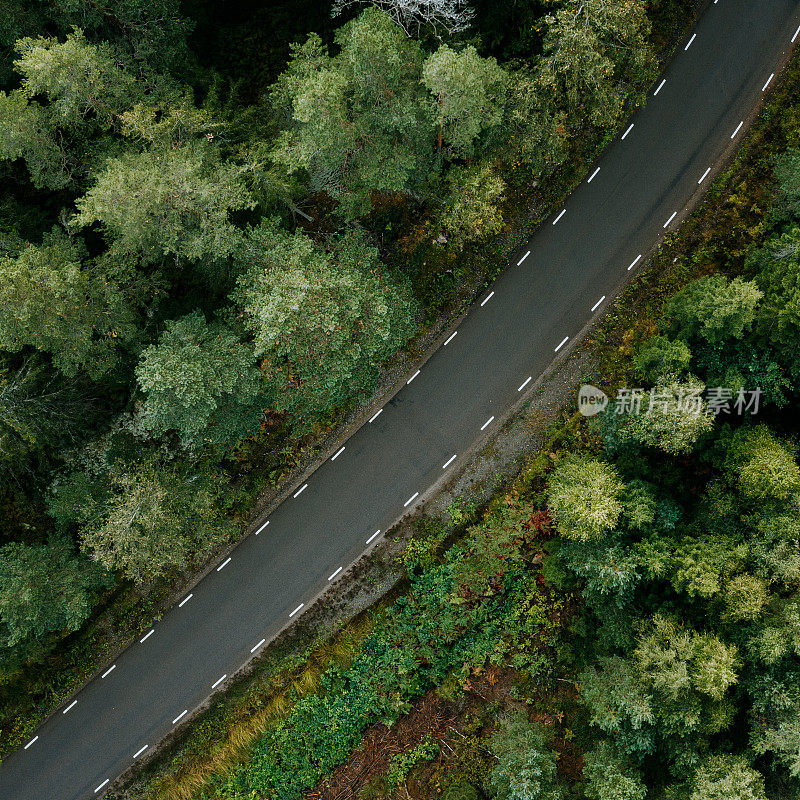 森林树木和道路的自然景观在瑞典无人机图像