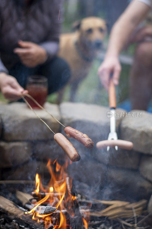 热狗在篝火上烤着，背景是棕色的狗