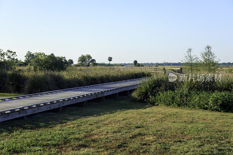 阿特基森纪念木板路蜿蜒穿过切罗基角休闲区——佛罗里达州圣克劳德的一个公共公园