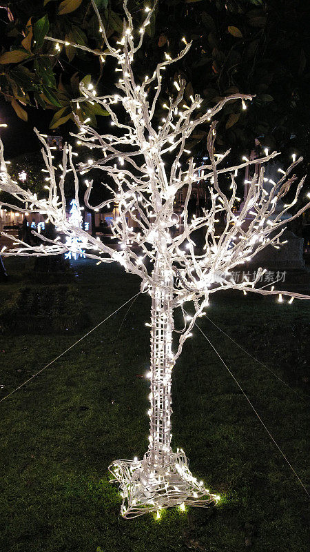 彩灯树，圣诞装饰，卢戈市政厅。