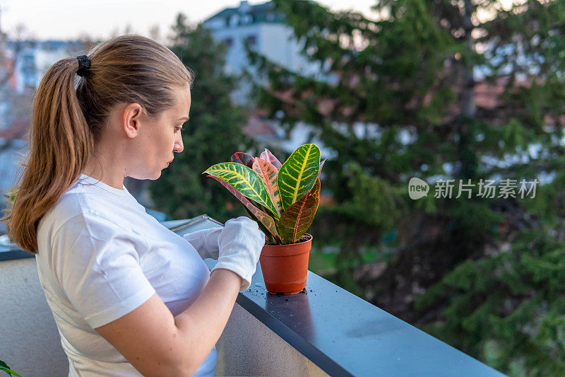 年轻女子美化和重新安排植物在她的阳台花园