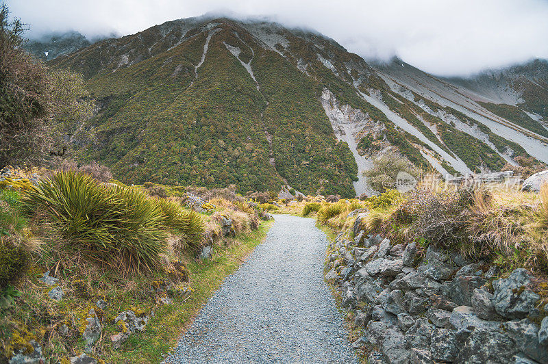 在新西兰南岛的旅游景点库克山的土路和步行道