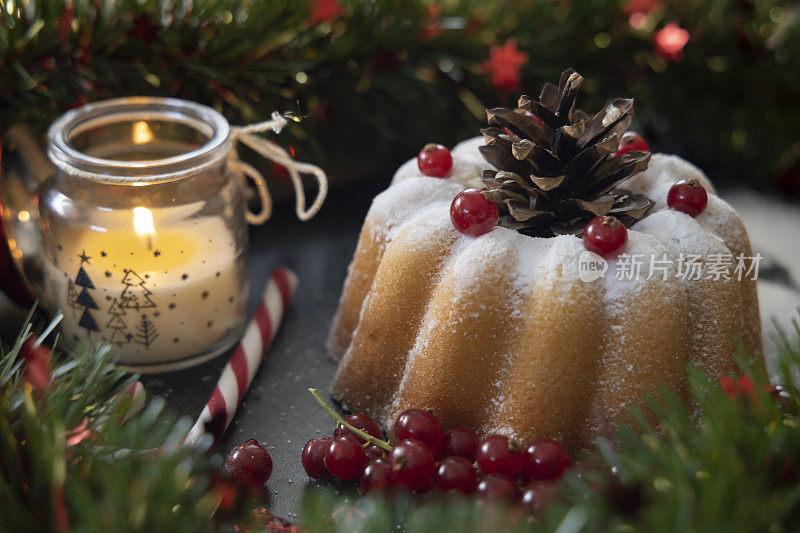 有黑醋栗和圣诞灯的圣诞蛋糕。带装饰的圣诞甜点。