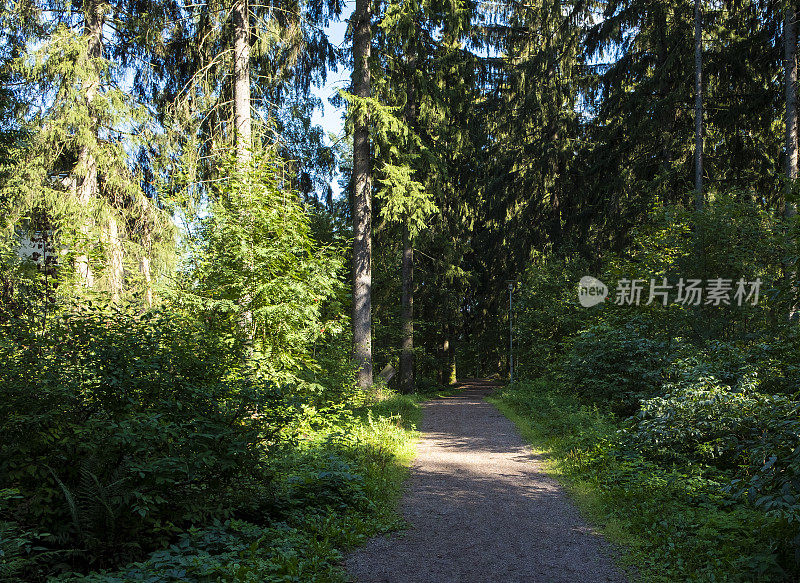 徒步旅行在城市公园芬兰拉赫蒂市。