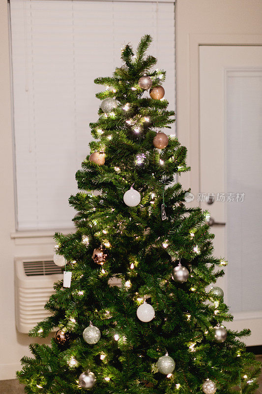 公寓客厅的圣诞树